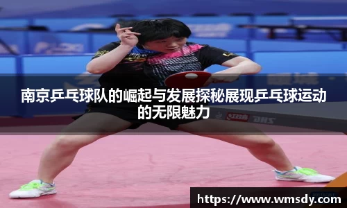 南京乒乓球队的崛起与发展探秘展现乒乓球运动的无限魅力