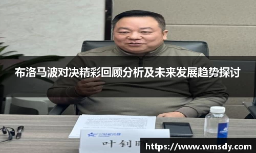布洛马波对决精彩回顾分析及未来发展趋势探讨