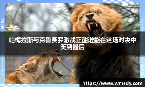帕梅拉斯与克鲁赛罗激战正酣谁能在这场对决中笑到最后