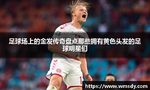 足球场上的金发传奇盘点那些拥有黄色头发的足球明星们