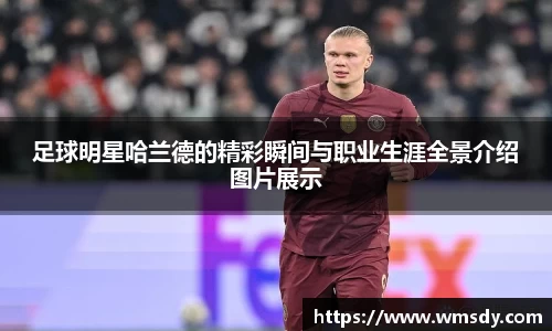 足球明星哈兰德的精彩瞬间与职业生涯全景介绍图片展示