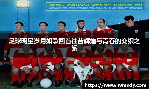 足球明星岁月如歌回首往昔辉煌与青春的交织之旅