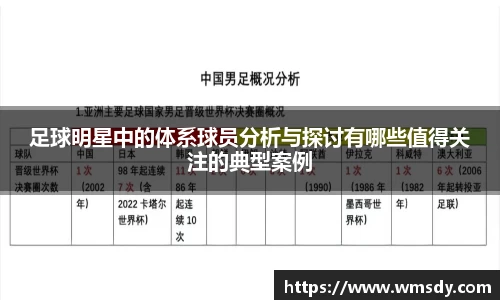 足球明星中的体系球员分析与探讨有哪些值得关注的典型案例